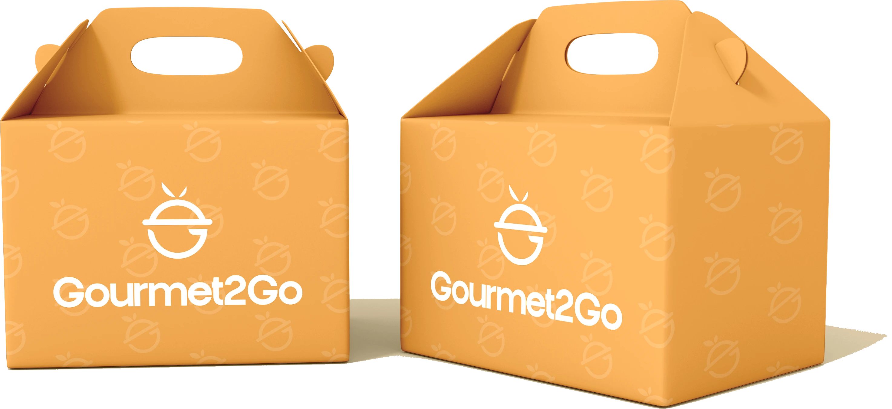 Gourmet2Go packaging